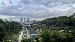 Normanton Park (D5), Apartment #556866621